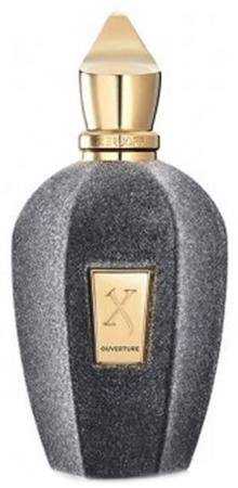 XerJoff Ouverture 100ml Eau de Parfum