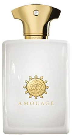 Amouage Honour for Man 100ml Eau de Parfum